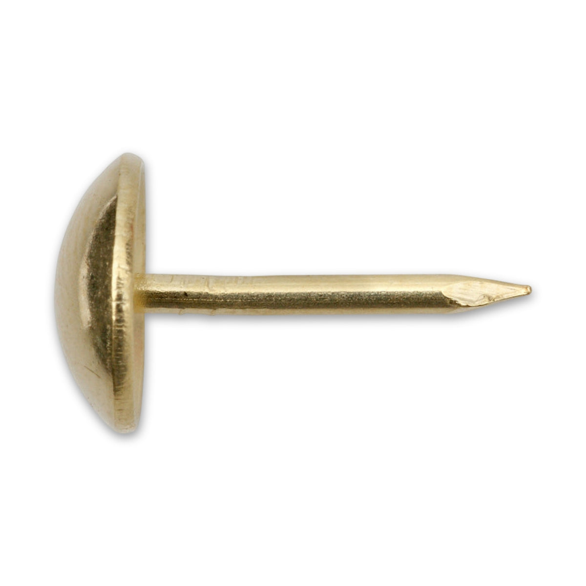 Polsternagel Halbrundkopf, Stahl vermessingt, 9 × 13 mm: Produktansicht