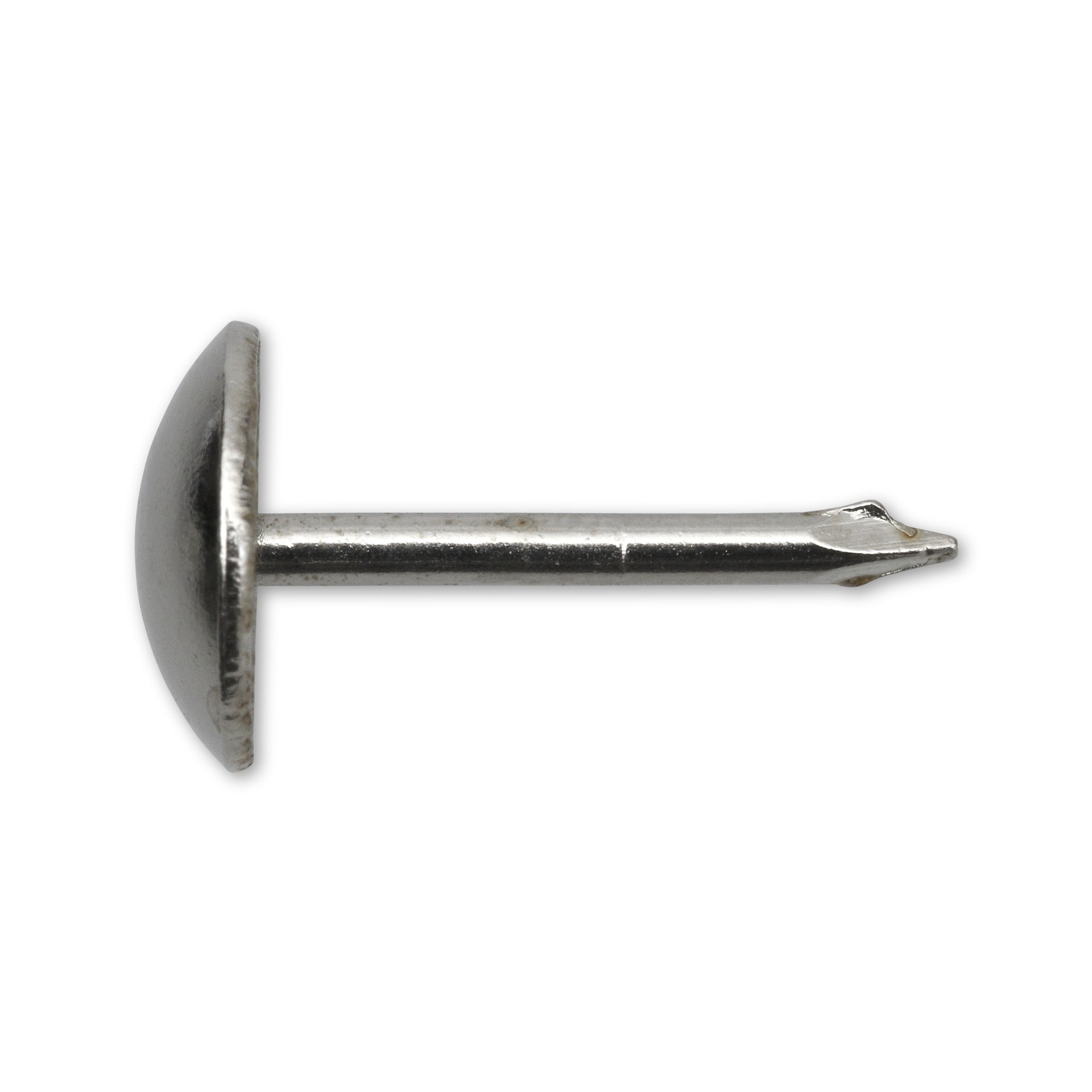 Polsternägel mit Halbrundkopf von SWG in der Produktansicht