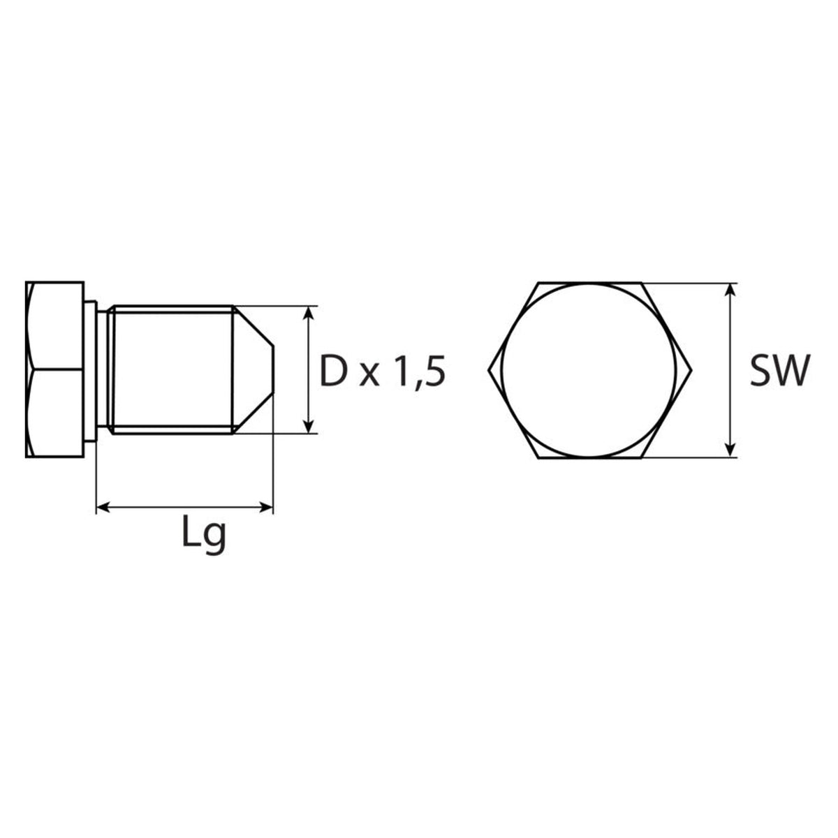 Kfz-Ölablassschraube M14 × 1,5 × 16, Stahl phosphatiert, SW 19: Produktansicht