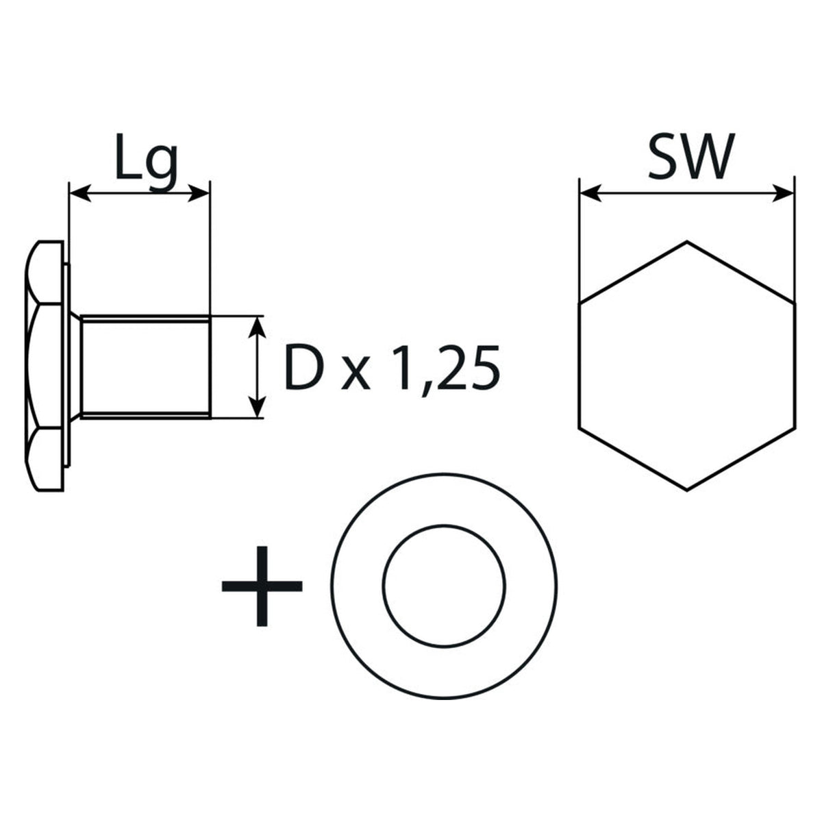 Kfz-Ölablassschraube M10 × 1,25 × 13 mit Dichtring, Stahl verzinkt: Produktansicht