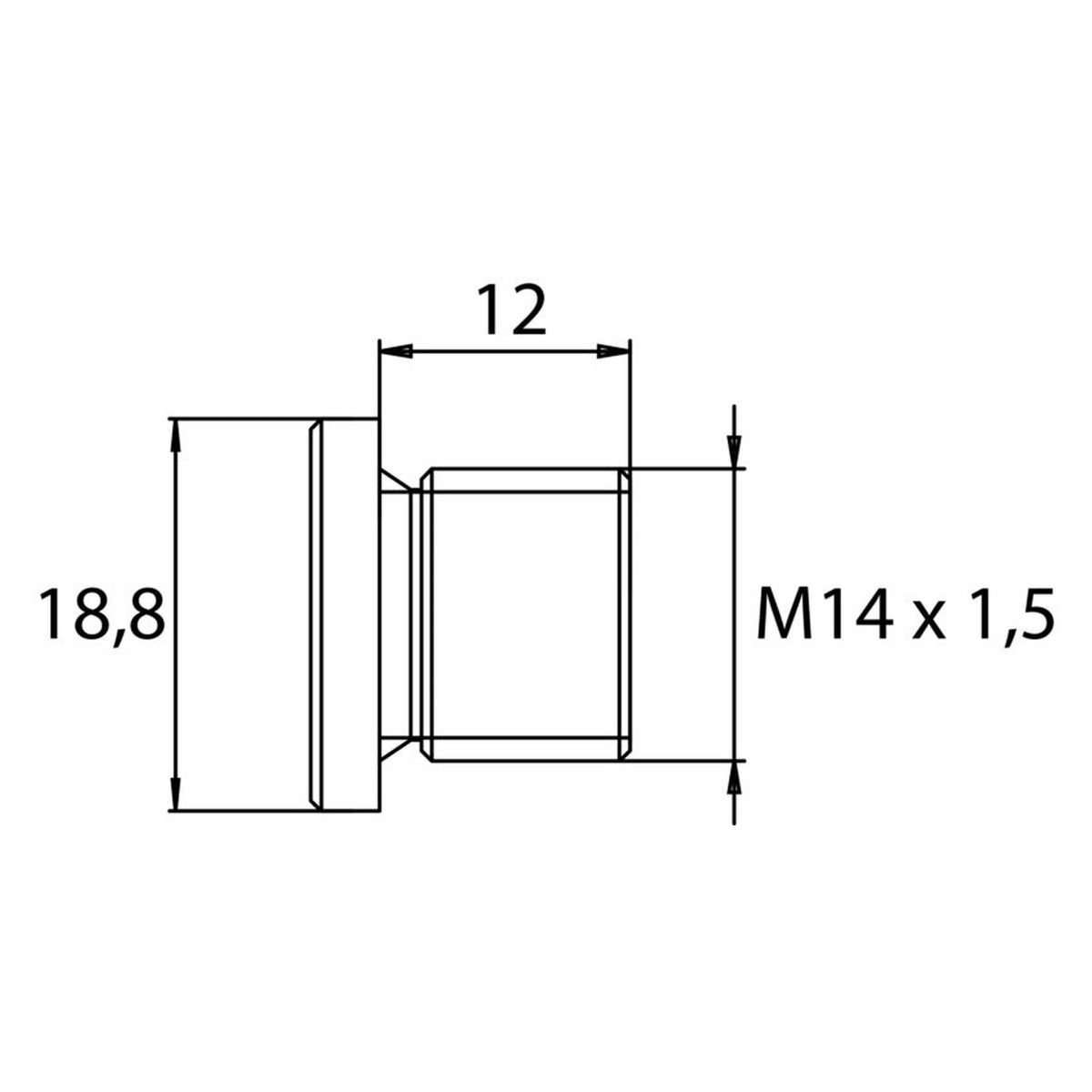 Kfz-Ölablassschraube M14 × 1,5 × 12, phosphatiert, Innensechskant: Produktansicht