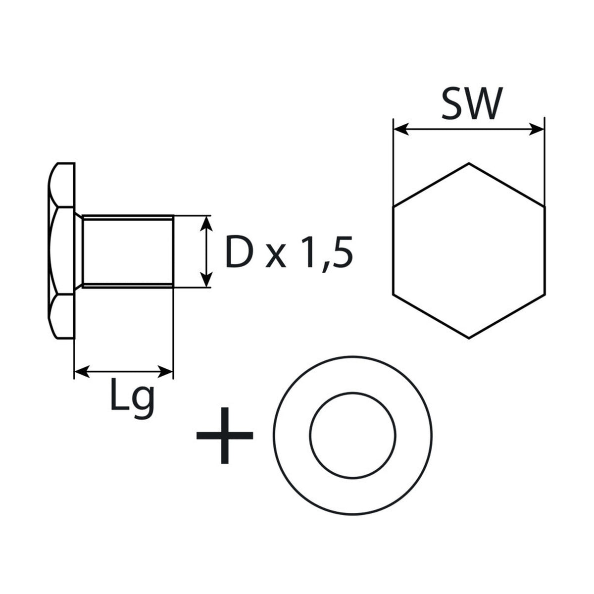 Kfz-Ölablassschraube M12 × 1,5 × 10,5 mit Dichtring, Stahl verzinkt: Produktansicht