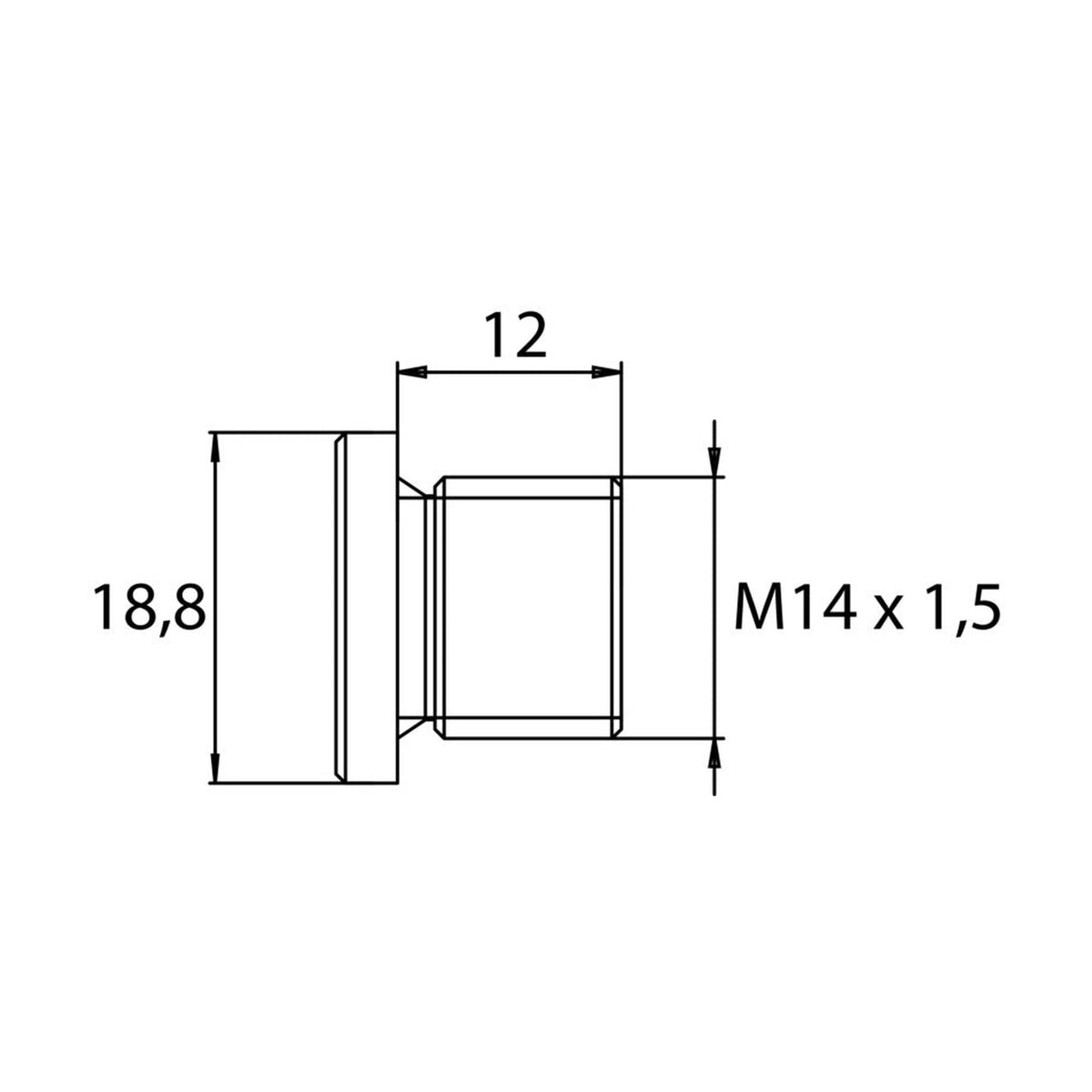 Kfz-Ölablassschraube M14 × 1,5 × 12, phosphatiert, Innensechskant: Produktansicht