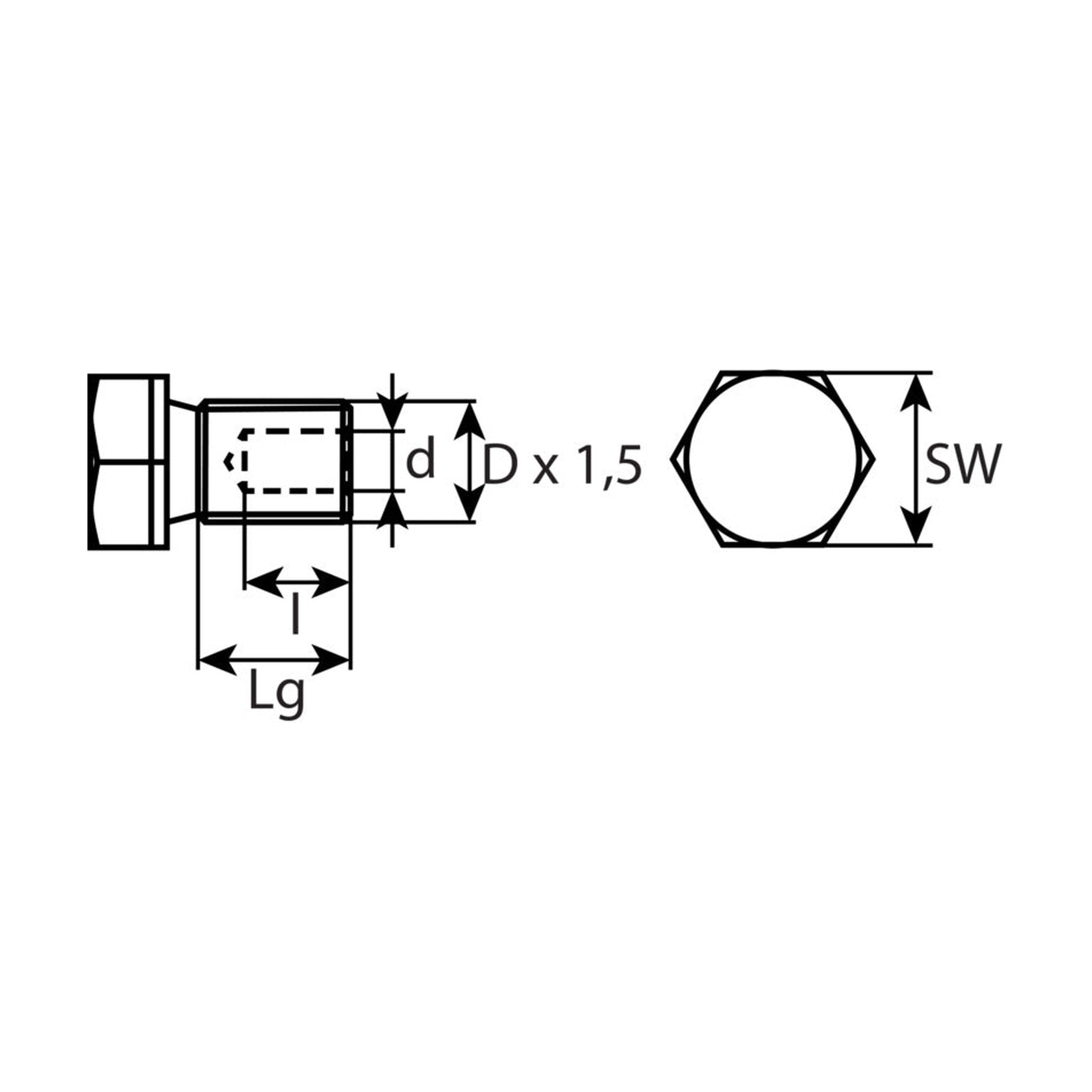 Kfz-Ölablassschraube M12 × 1,5 × 18, Stahl verzinkt: Produktansicht