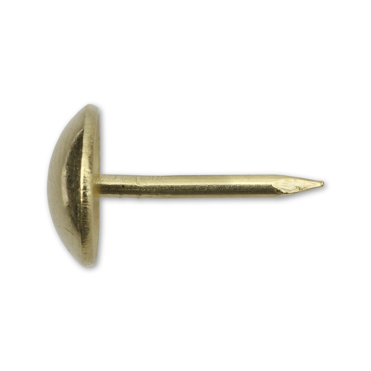 Polsternagel Halbrundkopf, Stahl vermessingt, 9 × 13 mm: Produktansicht