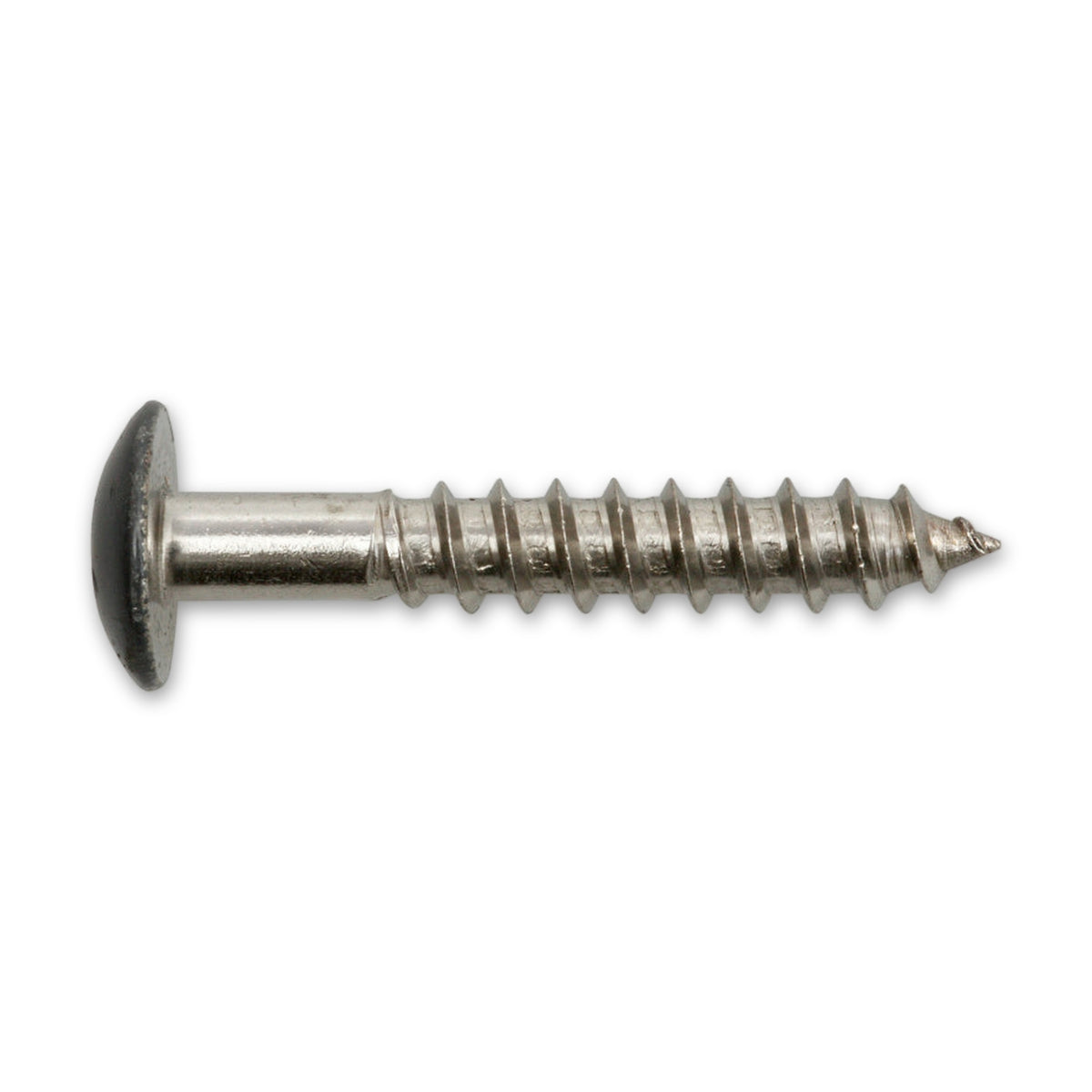 Fassadenschraube TX Flachrundkopf, Edelstahl A4, 5,5 mm, farbig: Produktansicht
