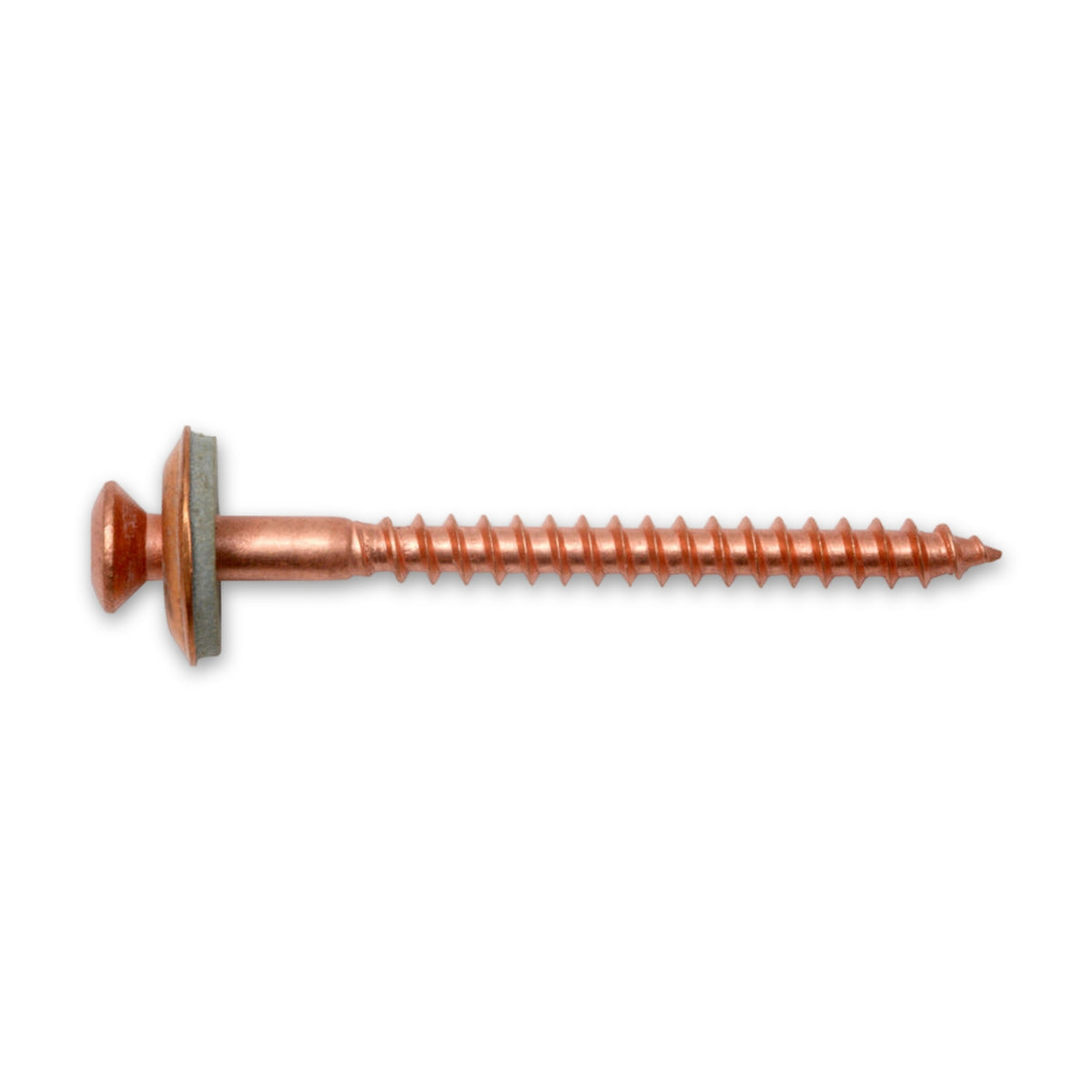 Spenglerschraube TX Linsensenkkopf, Edelstahl A2 verkupfert, 4,5 mm: Produktansicht