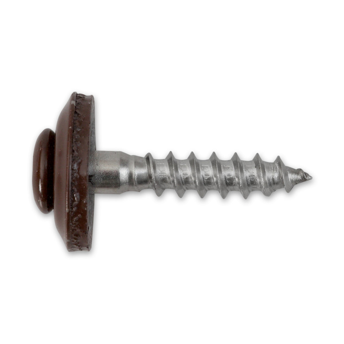 Spenglerschraube TX Linsensenkkopf, Edelstahl A2, RAL 8017, 4,5 mm: Produktansicht