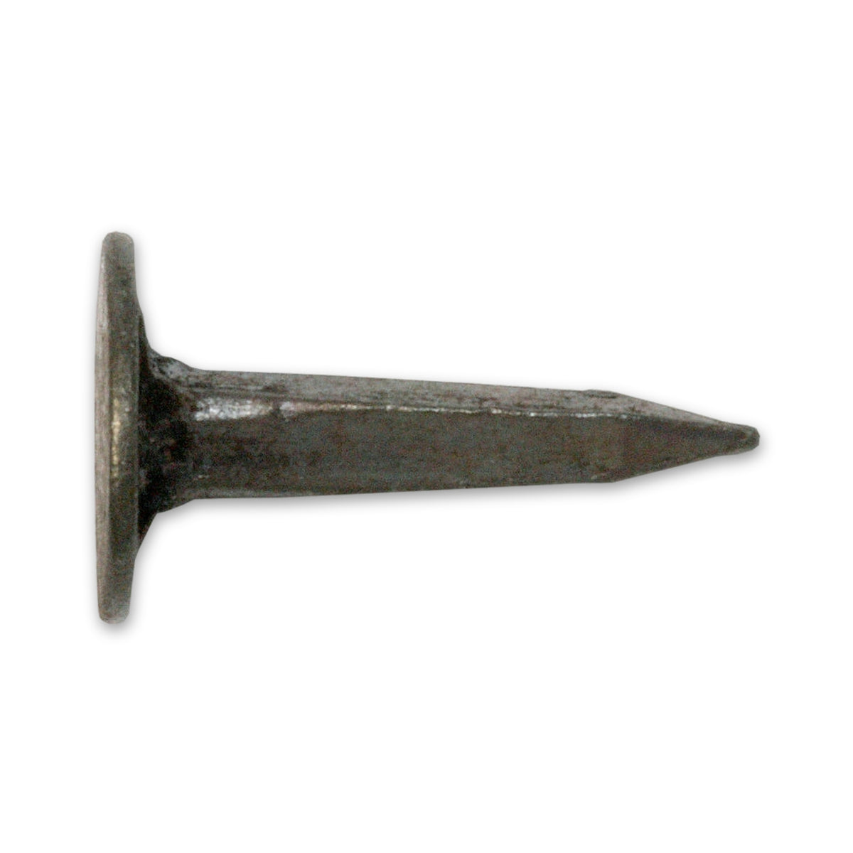 Tapeziernagel mit glattem Kopf, Stahl gebläut, 3 mm: Produktansicht