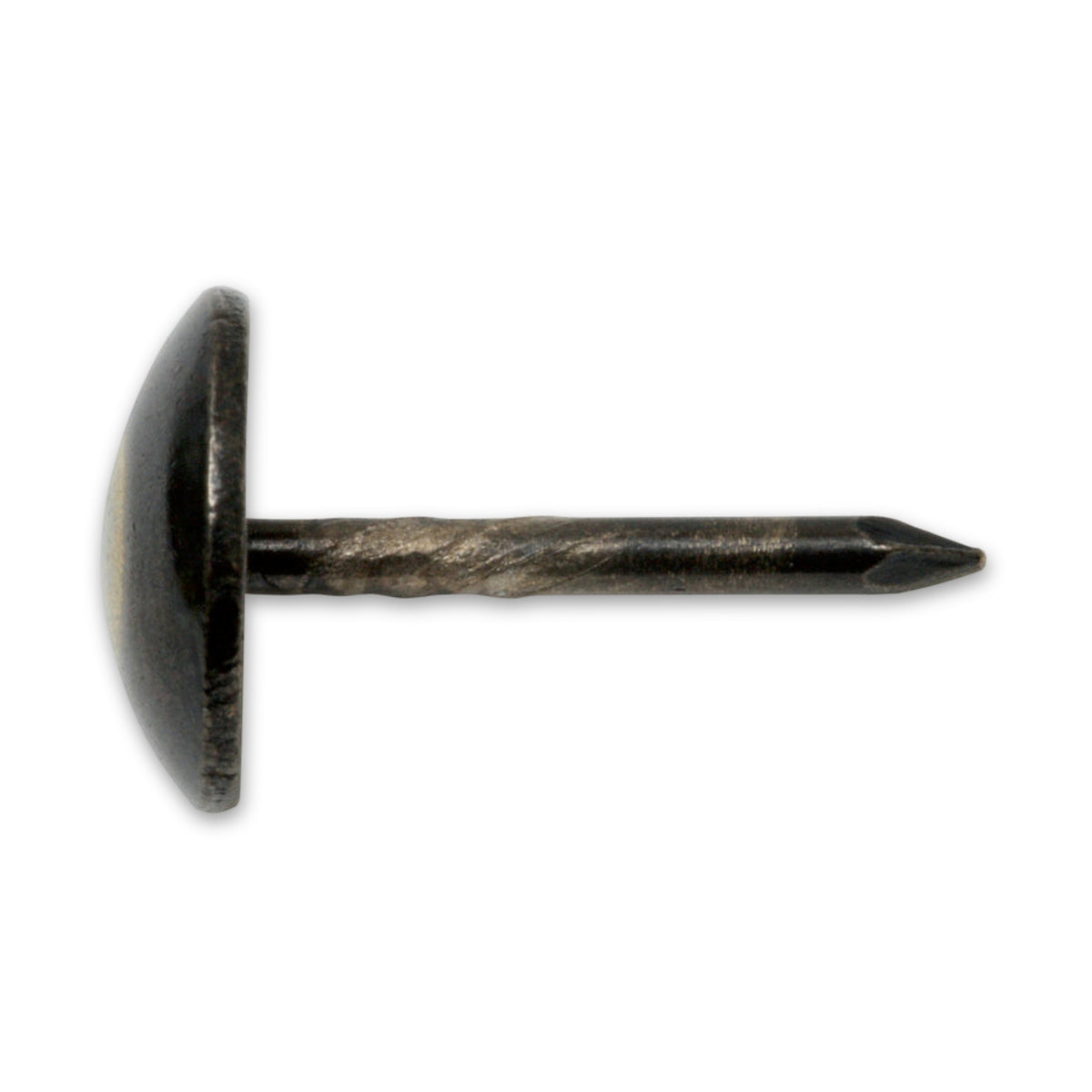 Polsternagel Halbrundkopf, Stahl renaissance, 9 × 13 mm: Produktansicht