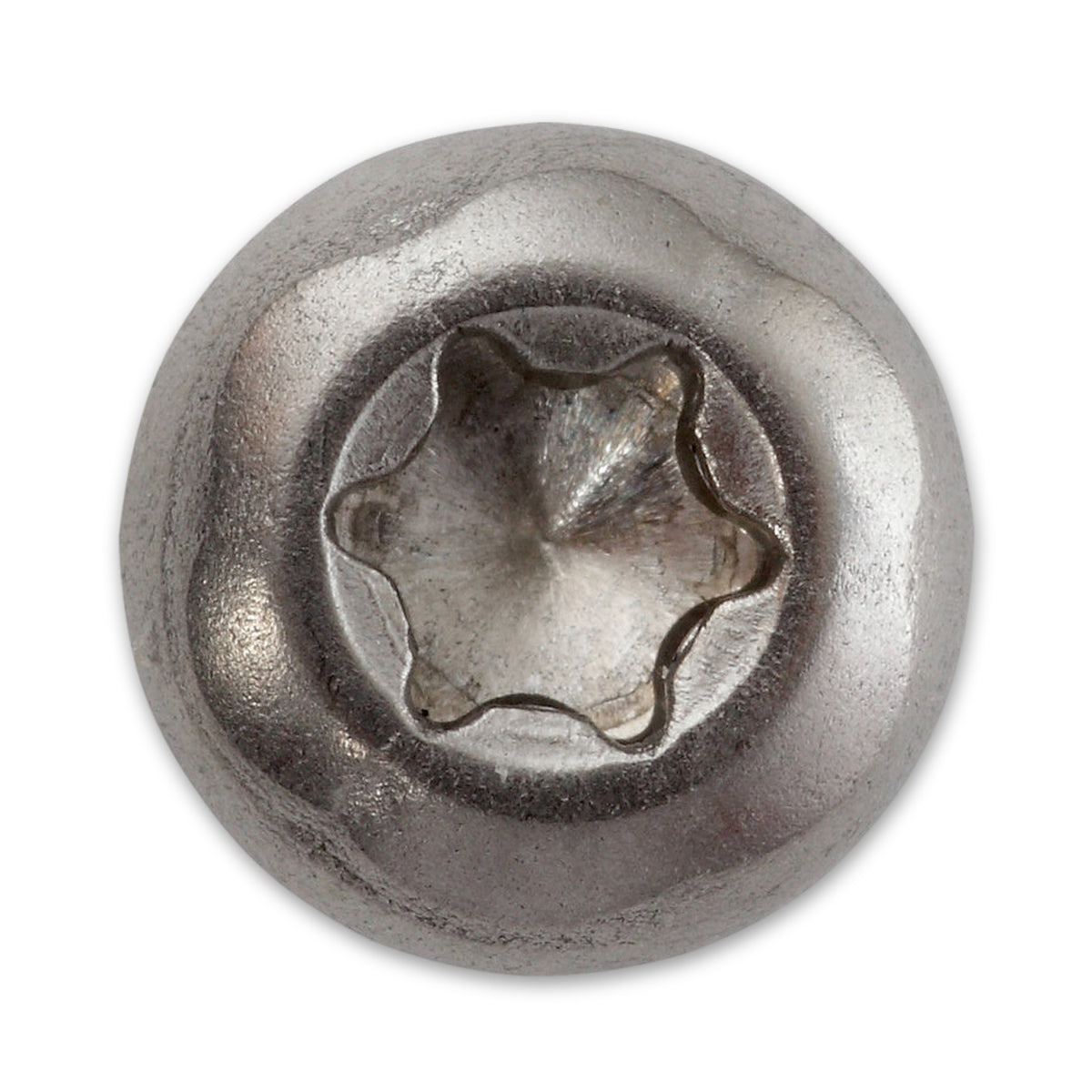 Spanplattenschraube TX Pan Head, Vollgewinde, Edelstahl A2: Produktansicht