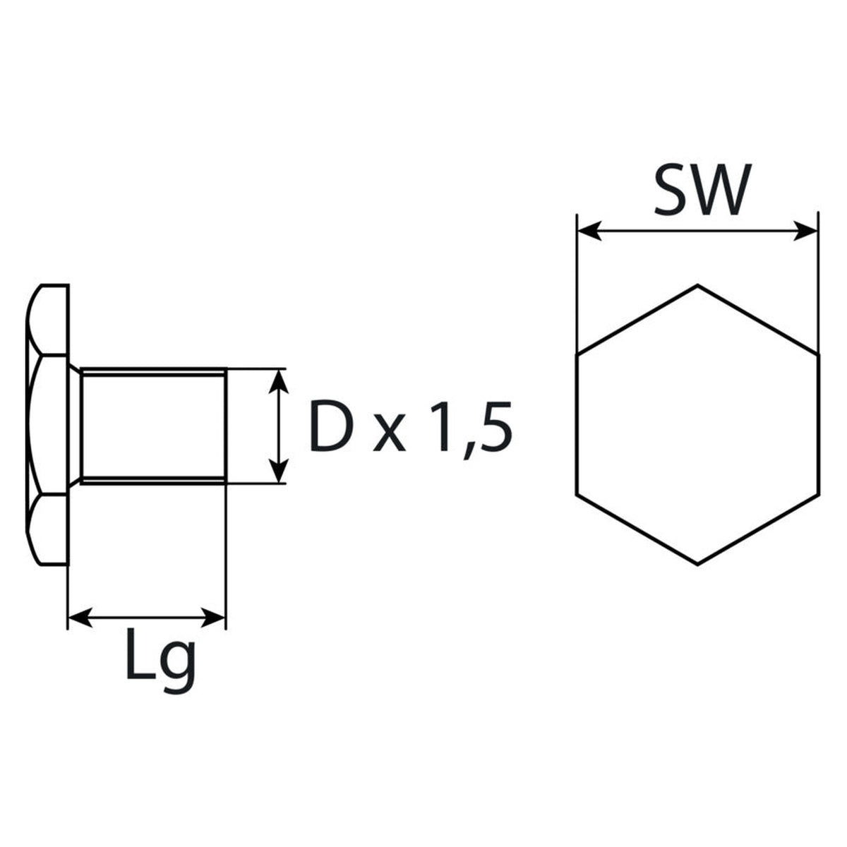 Kfz-Ölablassschraube M12 × 1,5 × 10,5, Stahl verzinkt, SW 17: Produktansicht