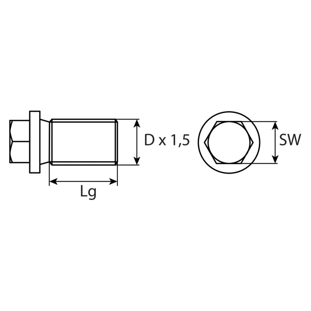 Kfz-Ölablassschraube M14 × 1,5 × 24, Zink-Lamelle silber, SW 13: Produktansicht