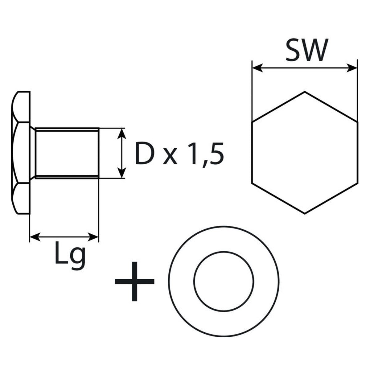 Kfz-Ölablassschraube M12 × 1,5 × 10,5 mit Dichtring, Stahl verzinkt: Produktansicht