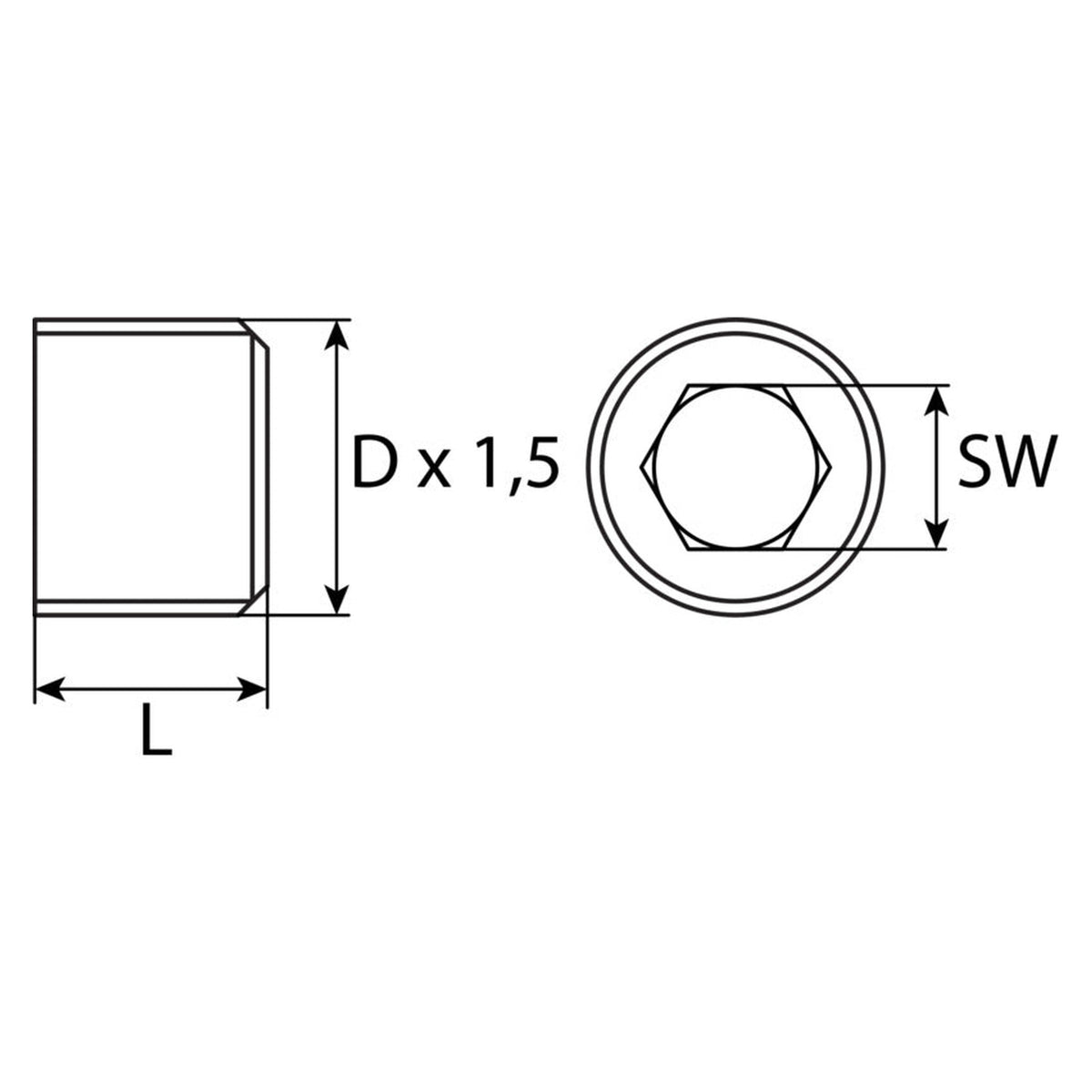Kfz-Ölablassschraube M22 × 1,5 × 13,5, Stahl verzinkt, SW 12: Produktansicht