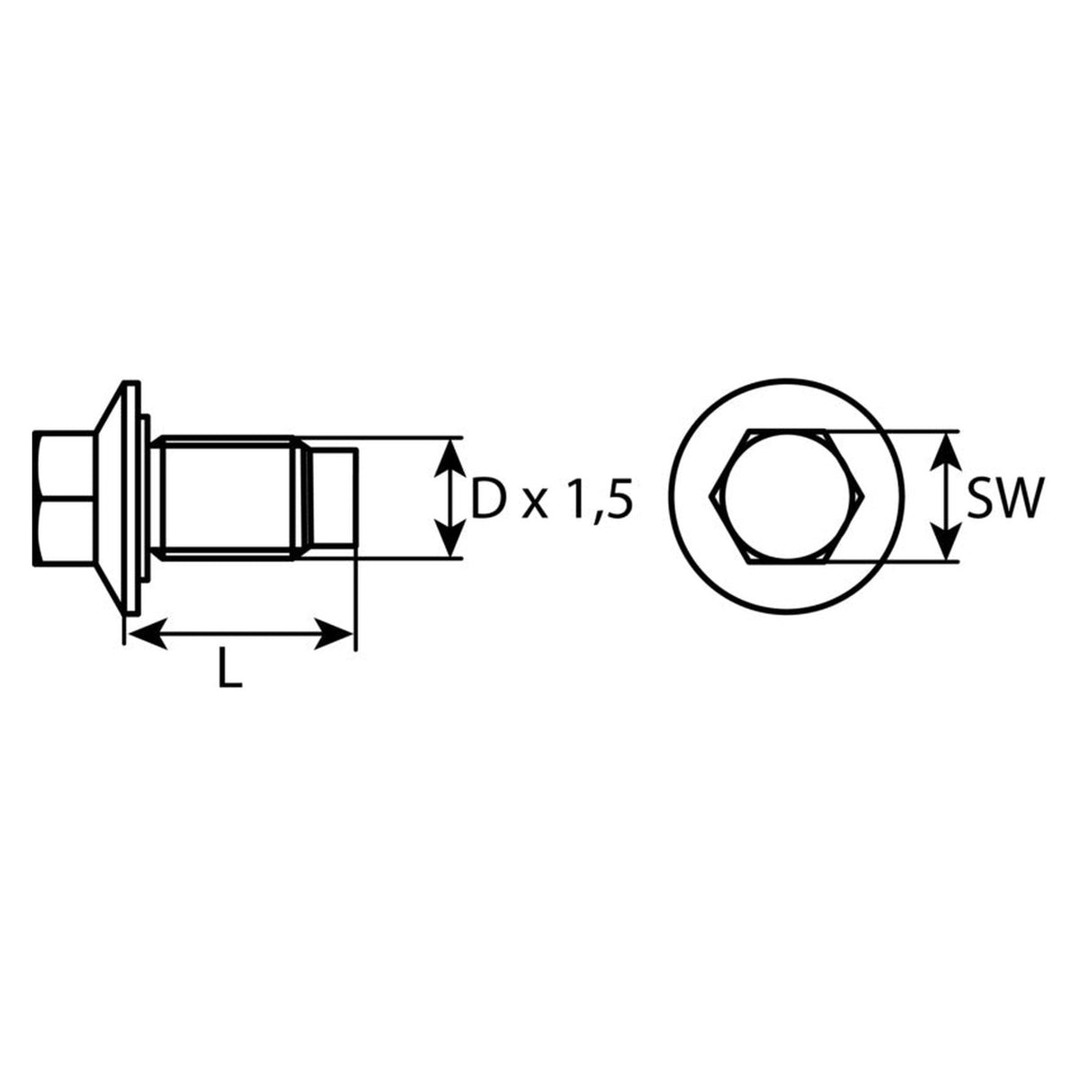 Kfz-Ölablassschraube M14 × 1,5 × 21, Stahl blank geölt, SW 13: Produktansicht
