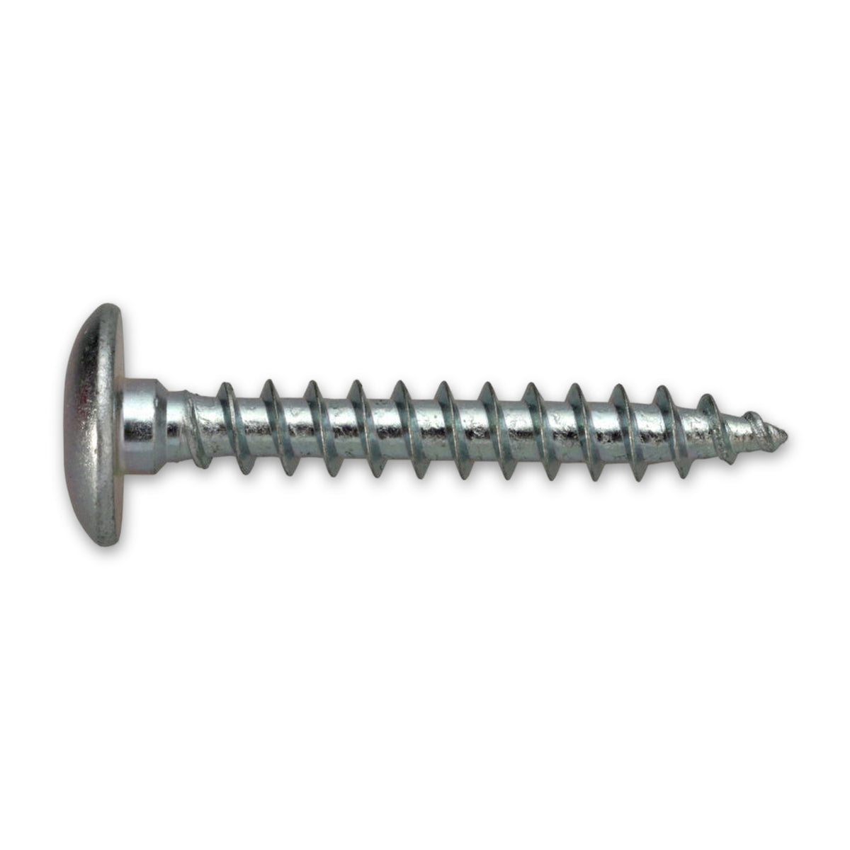 Torbandschraube TX Linsenkopf, Vollgewinde, Stahl verzinkt, 6 mm: Produktansicht