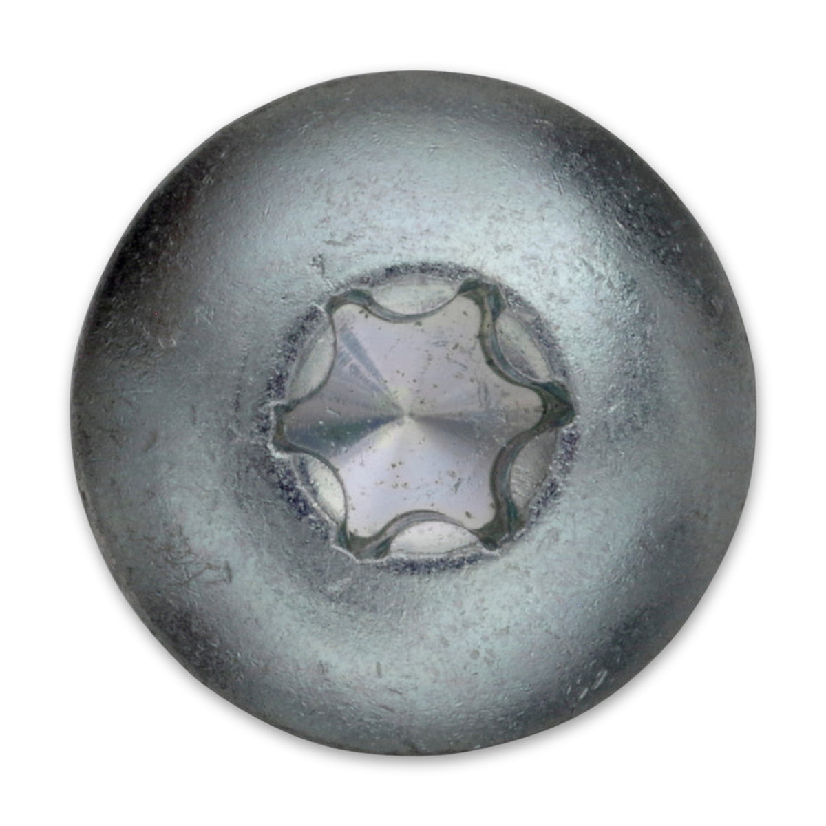 Torbandschraube TX Linsenkopf, Vollgewinde, Stahl verzinkt, 6 mm: Produktansicht