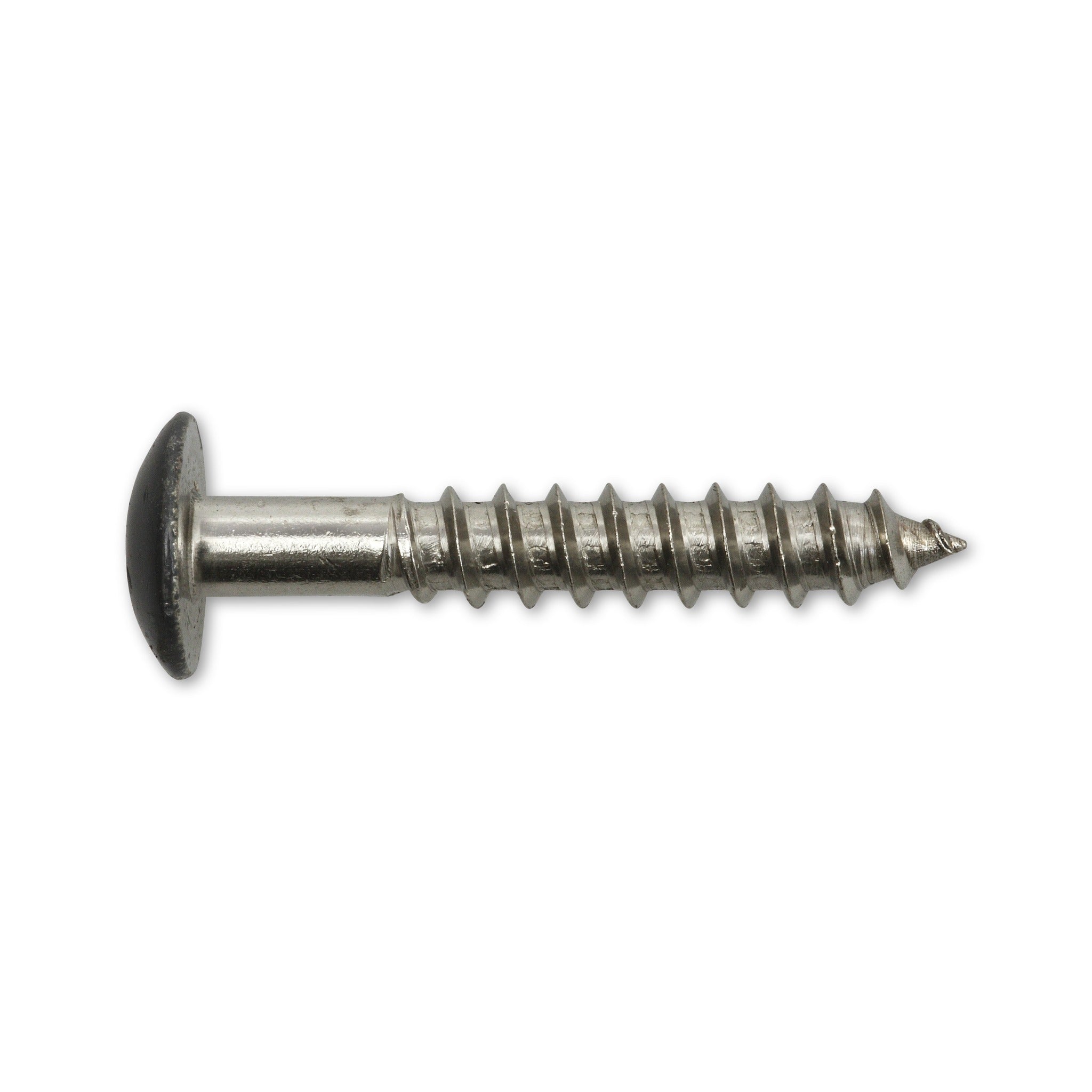 Fassadenschraube TX Flachrundkopf, Edelstahl A4, 5,5 mm, farbig: Produktansicht