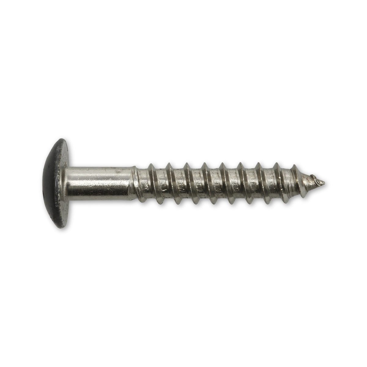 Fassadenschraube TX Flachrundkopf mit Bit, Edelstahl A4, 5,5 mm: Produktansicht