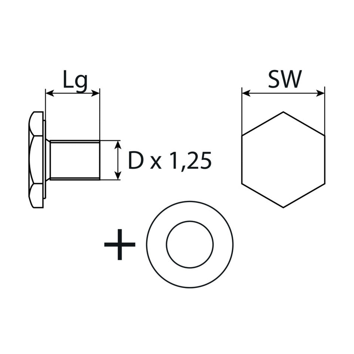 Kfz-Ölablassschraube M10 × 1,25 × 13 mit Dichtring, Stahl verzinkt: Produktansicht