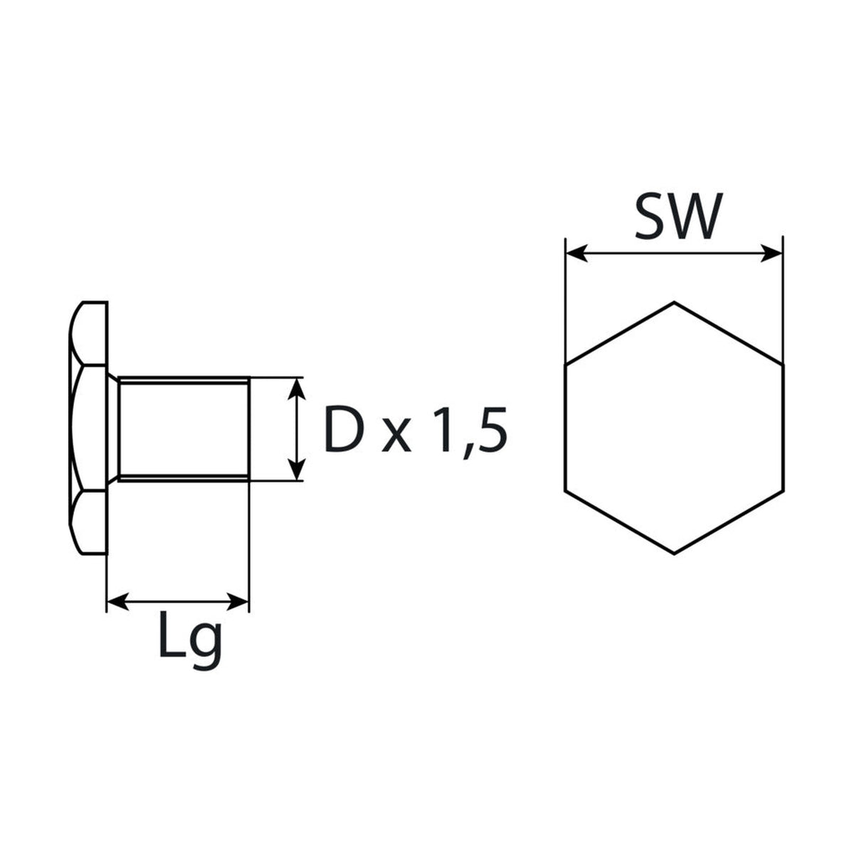 Kfz-Ölablassschraube M12 × 1,5 × 10,5, Stahl verzinkt, SW 17: Produktansicht