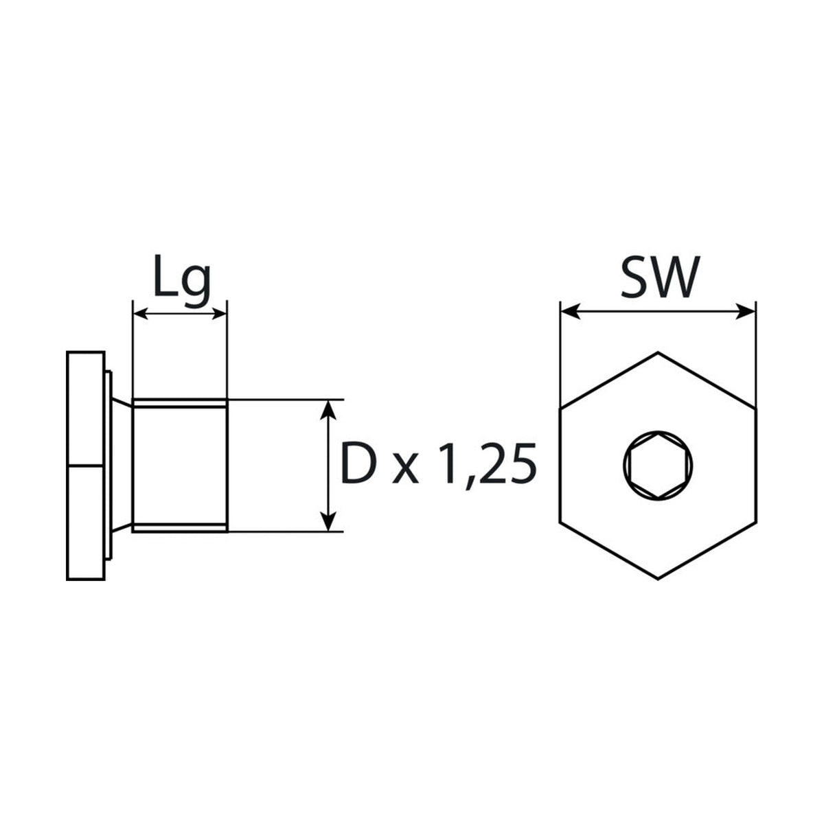 Kfz-Ölablassschraube M14 × 1,25 × 12,5, Stahl verzinkt, SW 21: Produktansicht