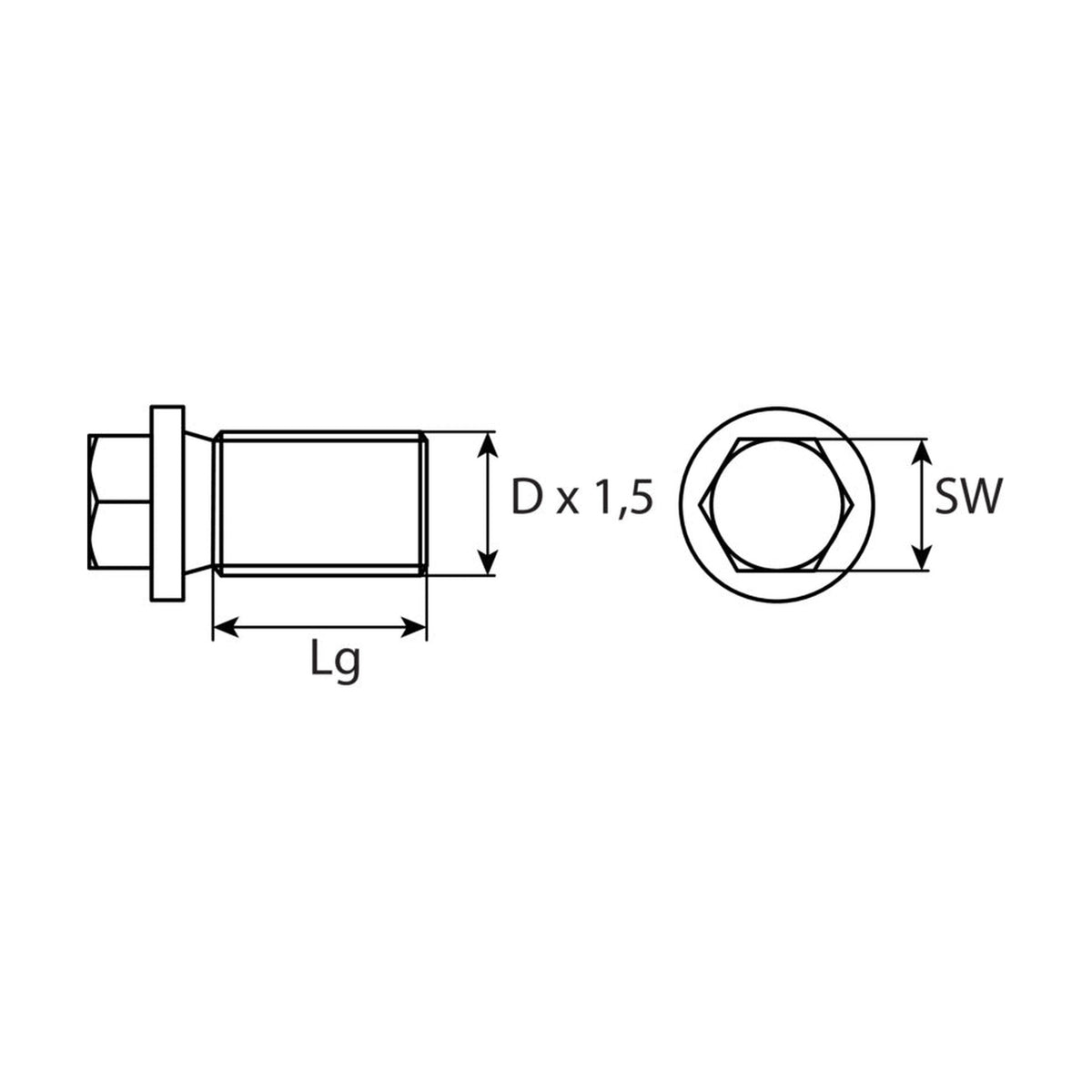 Kfz-Ölablassschraube M14 × 1,5 × 24, Zink-Lamelle silber, SW 13: Produktansicht