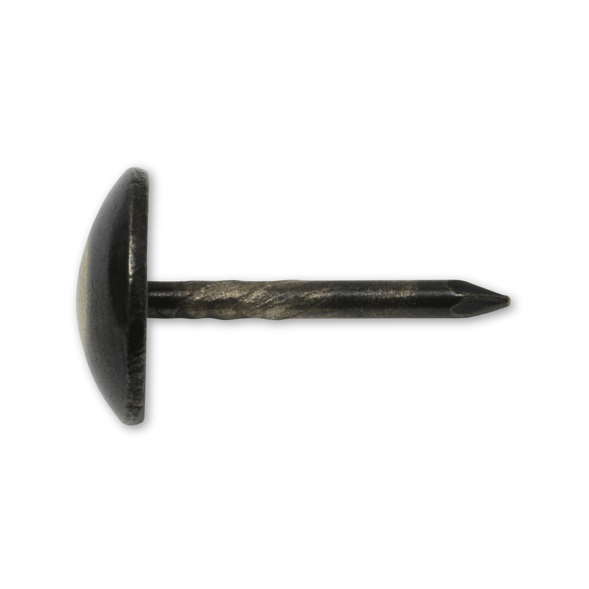 Polsternagel Halbrundkopf, Stahl renaissance, 9 × 13 mm: Produktansicht