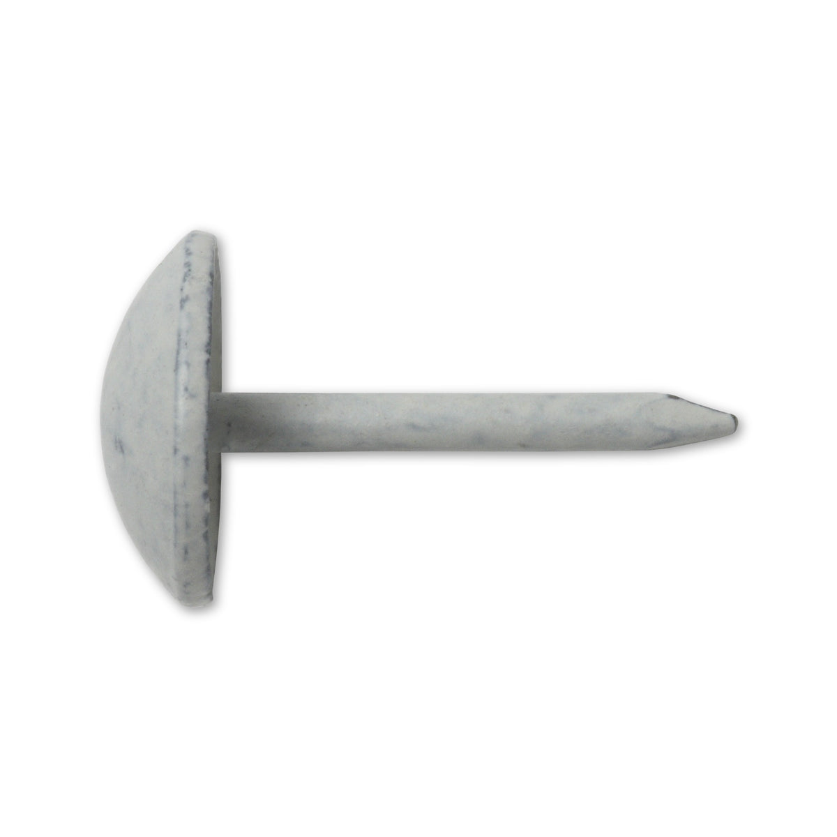 Polsternagel Halbrundkopf, Stahl weiß, 9 × 13 mm: Produktansicht