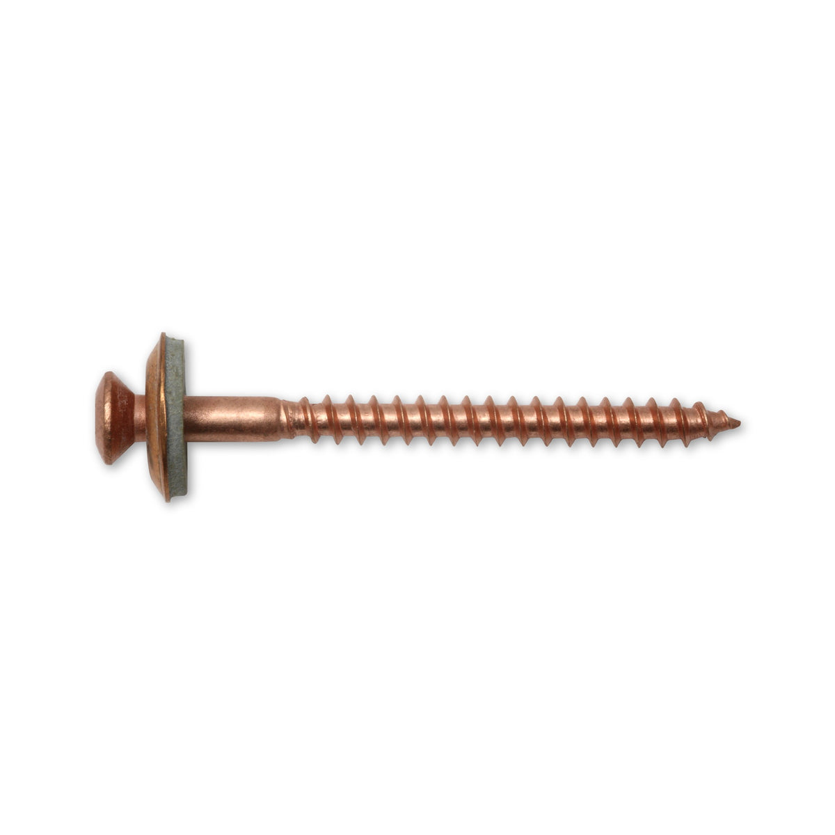Spenglerschraube TX Linsensenkkopf, Edelstahl A2 verkupfert, 4,5 mm: Produktansicht