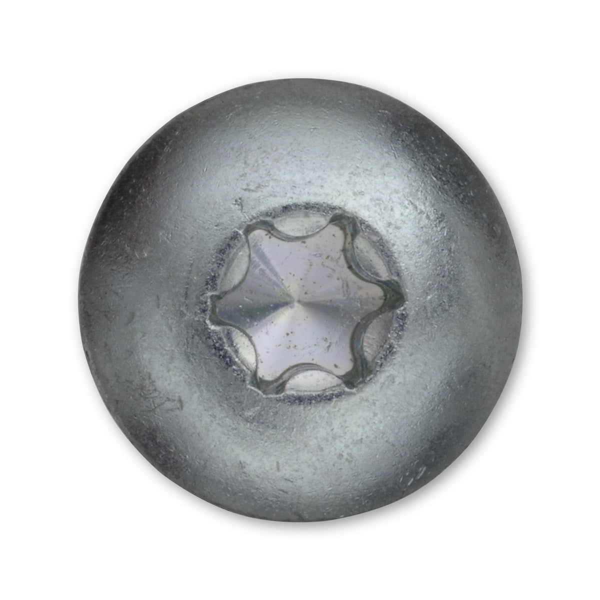 Torbandschraube TX Linsenkopf, Vollgewinde, Stahl verzinkt, 6 mm: Produktansicht